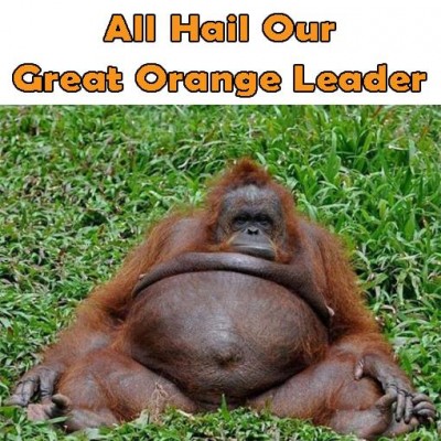 Great Orange Leader.jpg