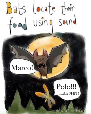 Bats.png