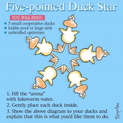 DuckStar.jpg