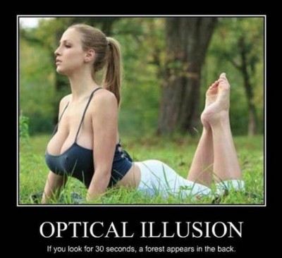 OpticalIllusion.jpg